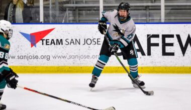 SJHN Daily: Smith's Banana Bread Thanksgiving Hit, Celebrini Jr. Shark Pics