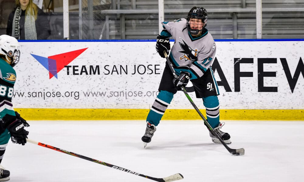 SJHN Daily: Smith's Banana Bread Thanksgiving Hit, Celebrini Jr. Shark Pics