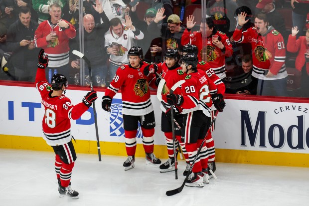 Blackhawks center Connor Bedard (98) celebrates his second goal with teammates during the third period against the Calgary Flames bringing the Blackhawks up 3-2, Nov. 18, 2025, at the United Center. (Dominic Di Palermo/Chicago Tribune)