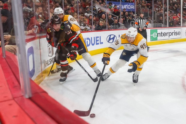 Nashville Predators left wing Reid Schaefer (49) grabs the puck during the first period against the Blackhawks, Nov. 28, 2025, at the United Center. (Dominic Di Palermo/Chicago Tribune)