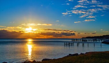 How The Capitals Save The Ocean One Broken Stick At A Time