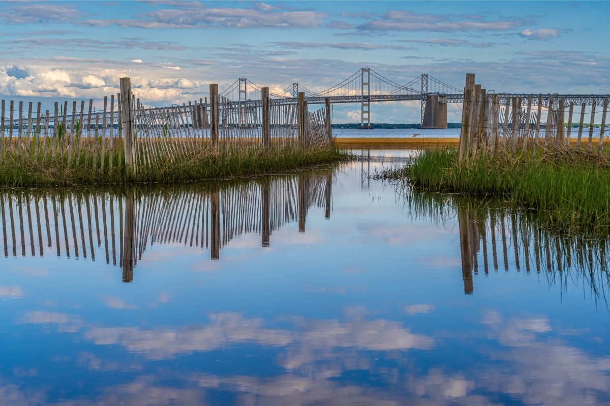 Chesapeake Bay Cleanest