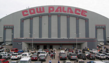 San Jose Sharks: A Brief History - The Hockey Writers - Sharks History