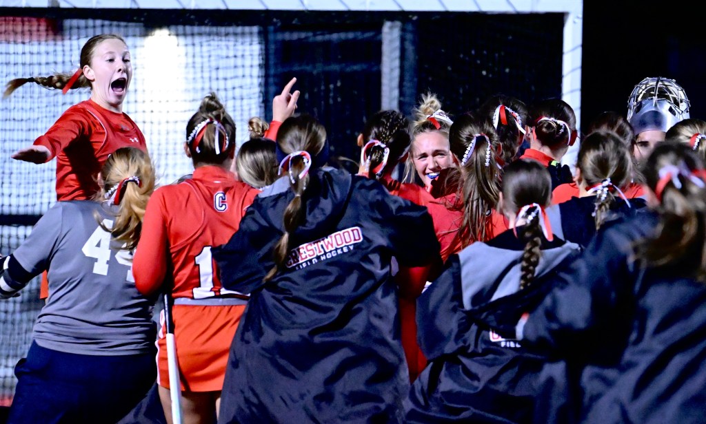 Comets advance to Class AA quarterfinals – Hazleton Standard Speaker