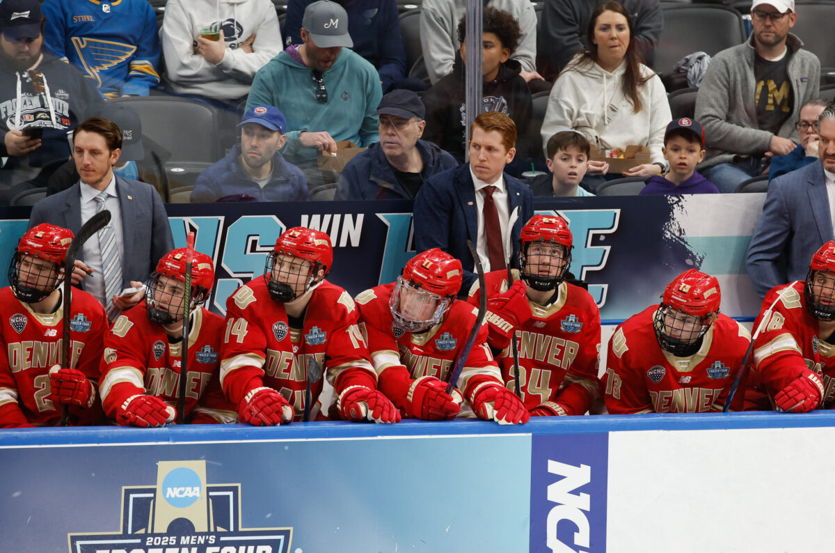 David Carle Denver University