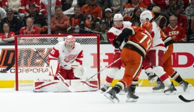Ducks beat Red Wings as Gibson returns to Anaheim