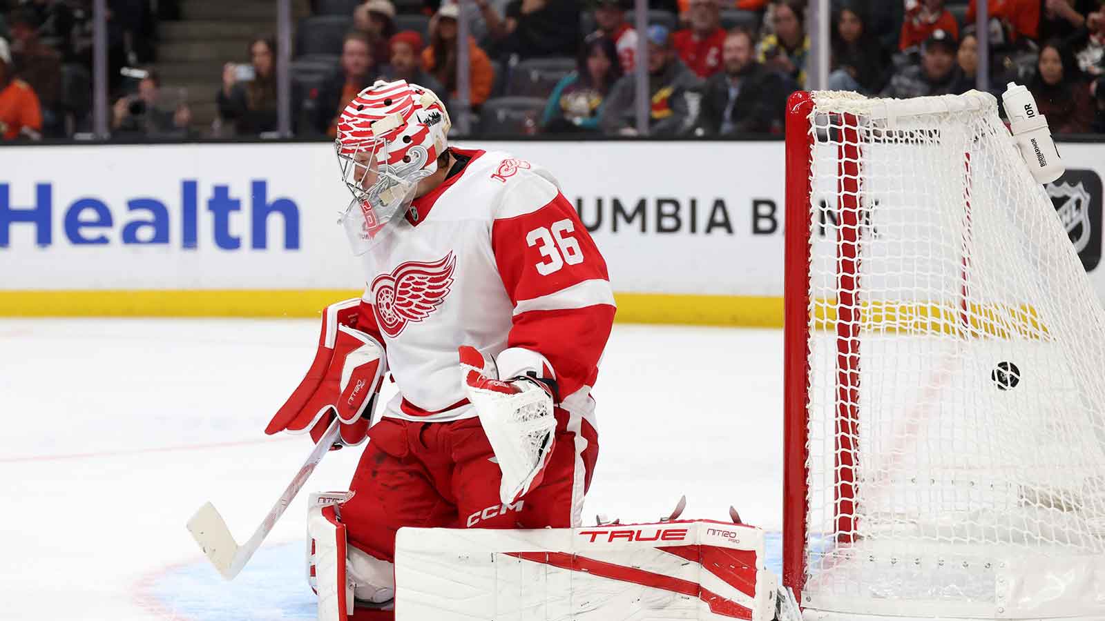 Detroit Red Wings goaltender John Gibson (36) gives up a goal during the second period against the Anaheim Ducks at Honda Center. 