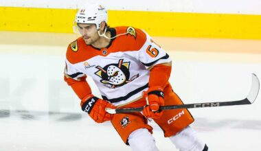 Anaheim Ducks left wing Chris Kreider (20) skates off the ice after scoring a goal against the Dallas Stars during the third period at the American Airlines Center.