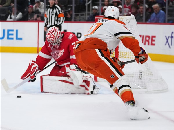 Alex DeBrincat scores twice, Red Wings beat Ducks 6-3 to end 3-game slide