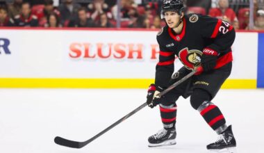 Ottawa Senators hockey player during game on ice.