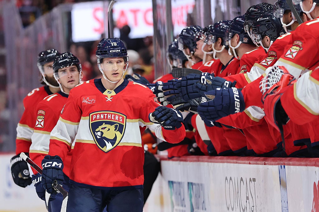 Florida Panthers vs Anaheim Ducks: Odds, Spread, and Total
