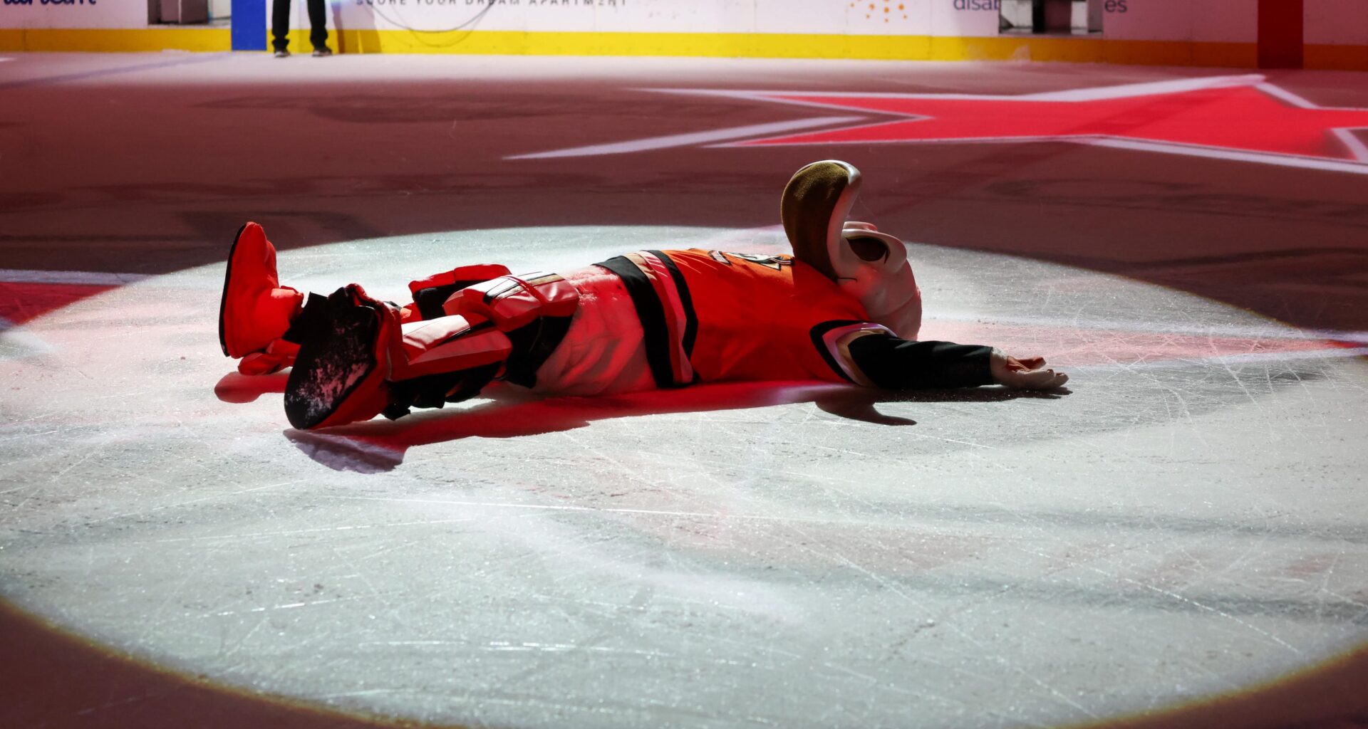 Truly The Most Random Men Scored For The Ducks Last Night