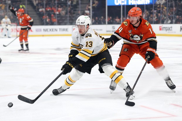 The Boston Bruins’ Matěj Blümel, left, controls the puck as...