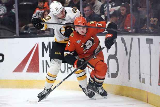 The Boston Bruins’ Matěj Blümel, left, checks the Ducks’ Ian...