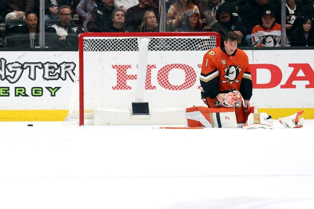 Ducks goaltender Lukas Dostal looks on during a pause in...