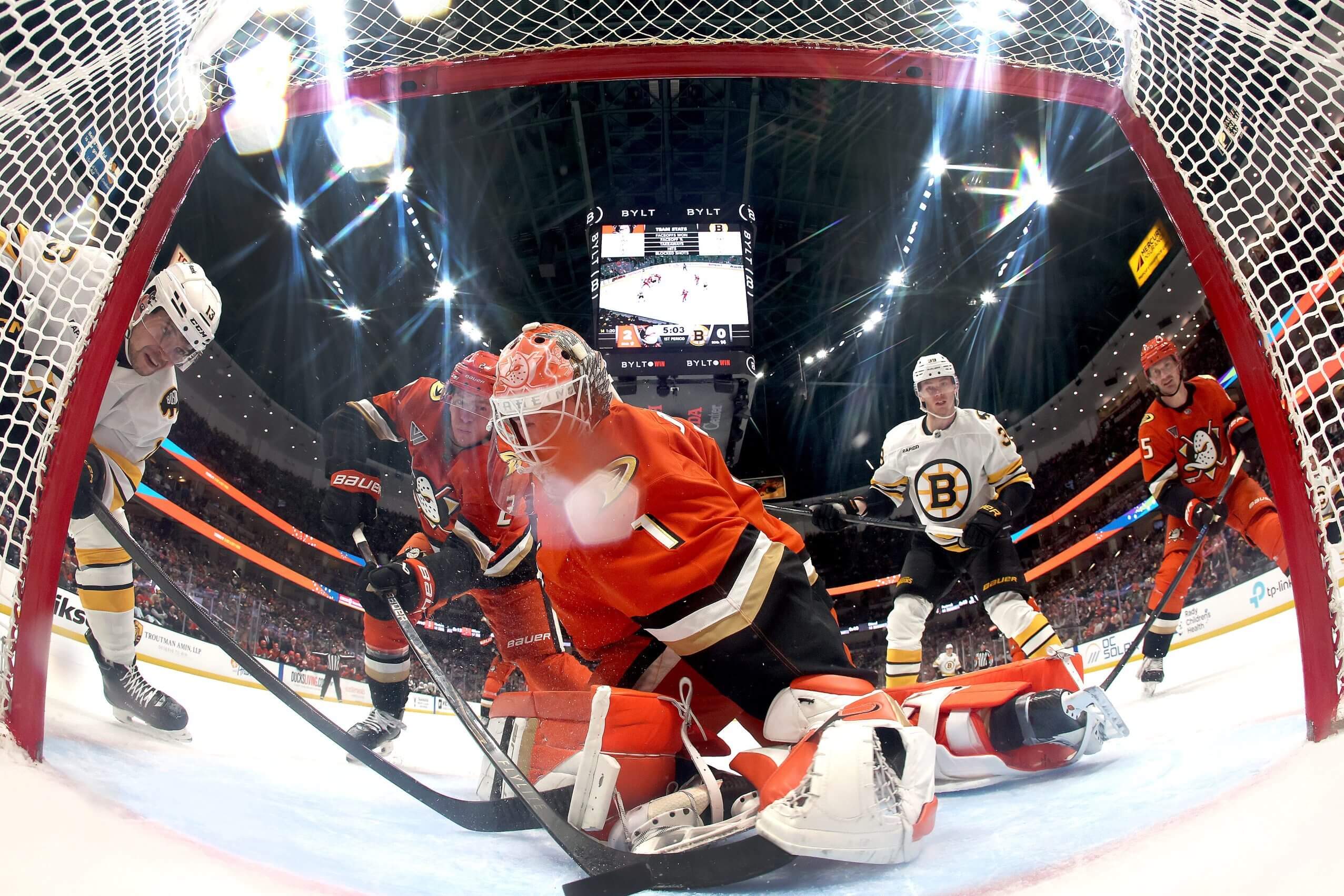 Morgan Geekie scores a goal for the Bruins vs. Anaheim.