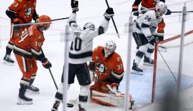 The Ducks and Kings are very different teams that share the same goal of winning