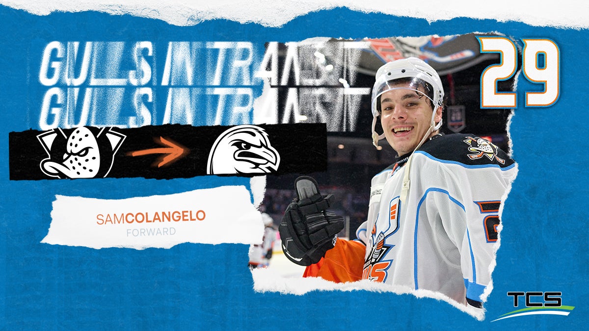 Anaheim Ducks Reassign Sam Colangelo To San Diego