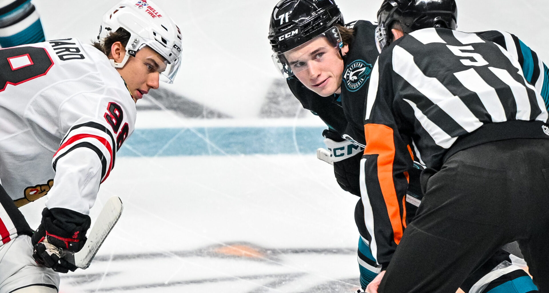 San Jose Sharks forward Macklin Celebrini and Chicago Blackhawks forward Connor Bedard