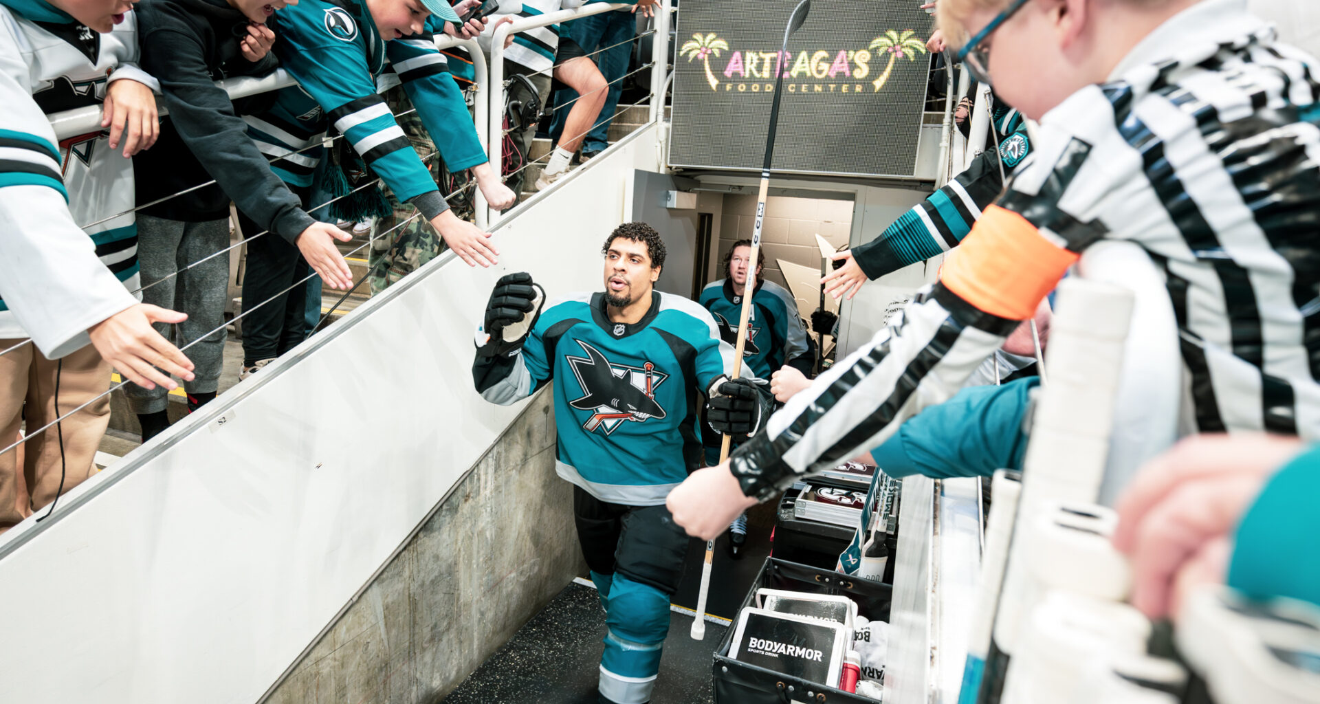 San Jose Sharks forward Ryan Reaves