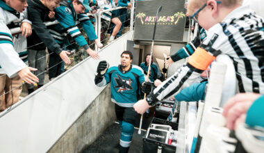 San Jose Sharks forward Ryan Reaves