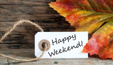 Top Things To Do This Weekend in Tampa Bay Events