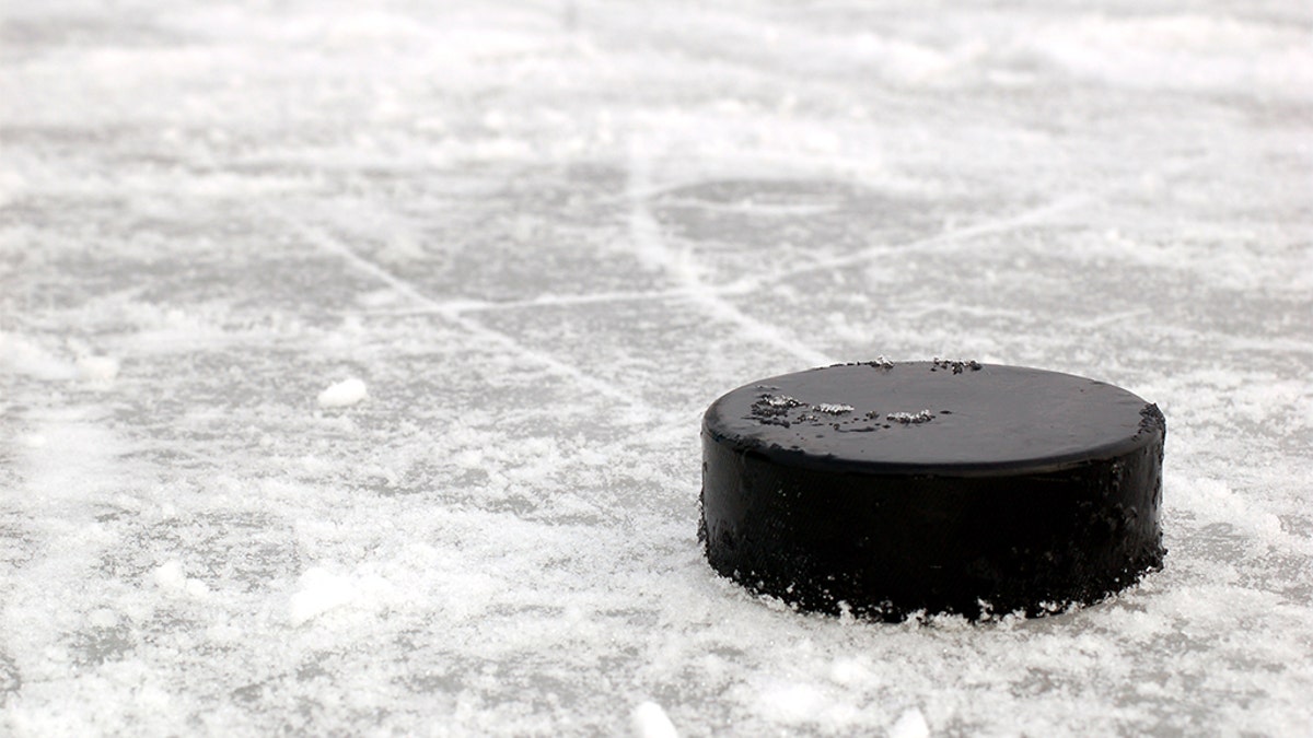 puck on ice 