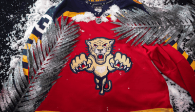 Winter classic jerseys