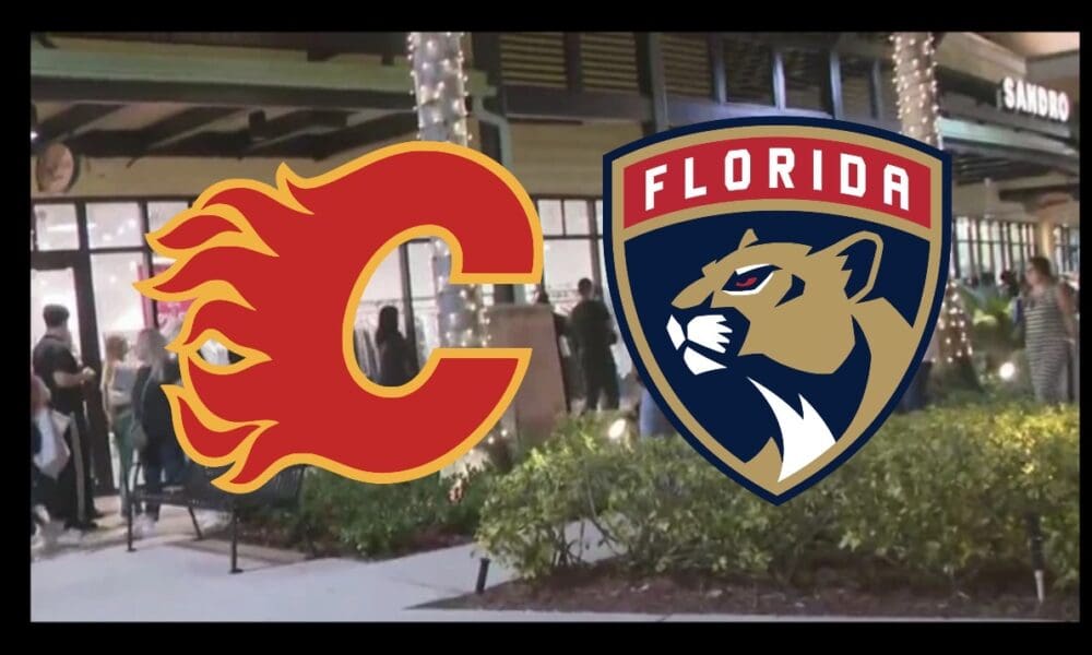 Panthers flames
