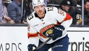 Panthers vegas knights