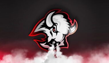 Sabres shutout in ugly home loss to Blues