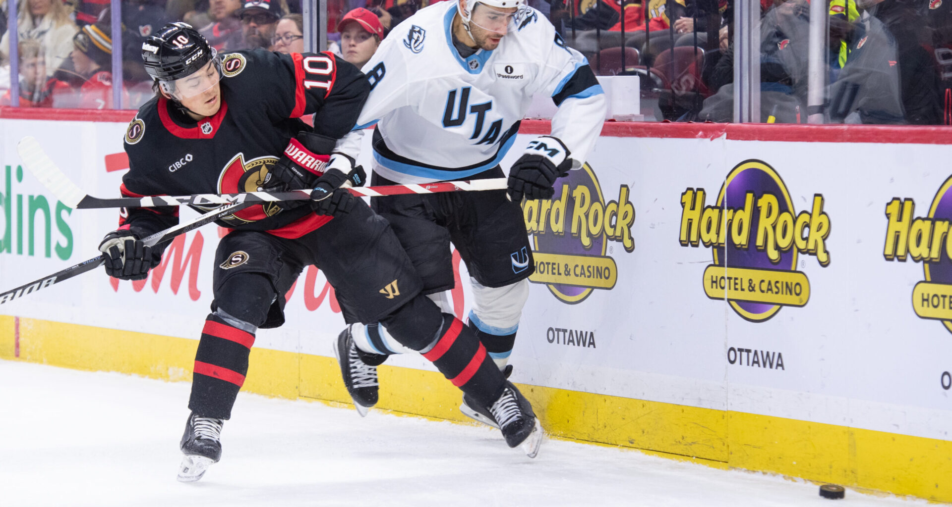 Senators Earn Back-to-Back Wins with 4-2 Victory over Mammoth - The Hockey Writers - NHL News