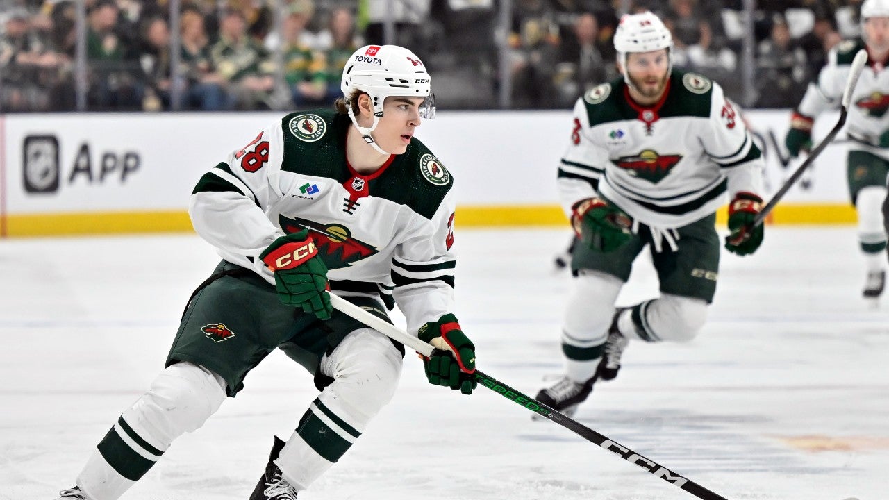 Minnesota Wild recalls forwards Liam Öhgren and Tyler Pitlick from Iowa; Spacek reassigned