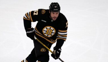 Milan Lucic Springfield Thunderbirds professional tryout Bruins