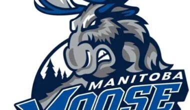 Manitoba Moose vs Rockford IceHogs Recap