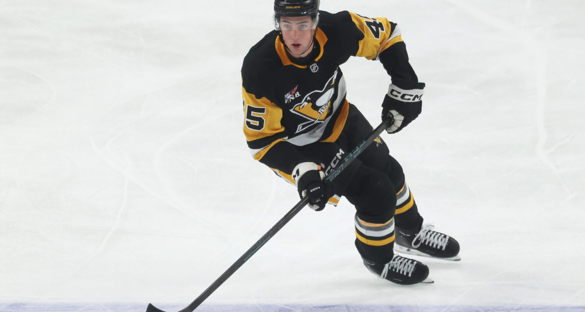 More on Pickering, Brunicke, and the Fourth Line (+)