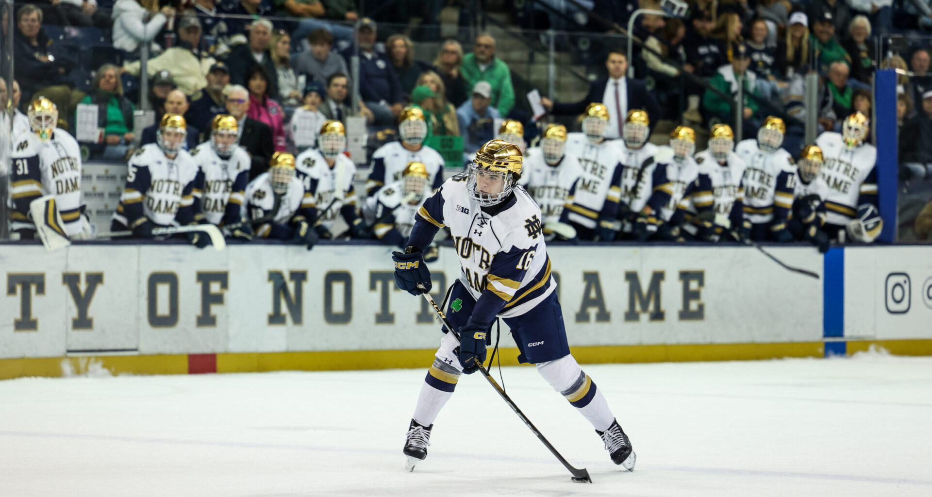 Oilers' NCAA Prospects: Tracking Their Early-Season Performance - The Hockey Writers - Oilers Prospects