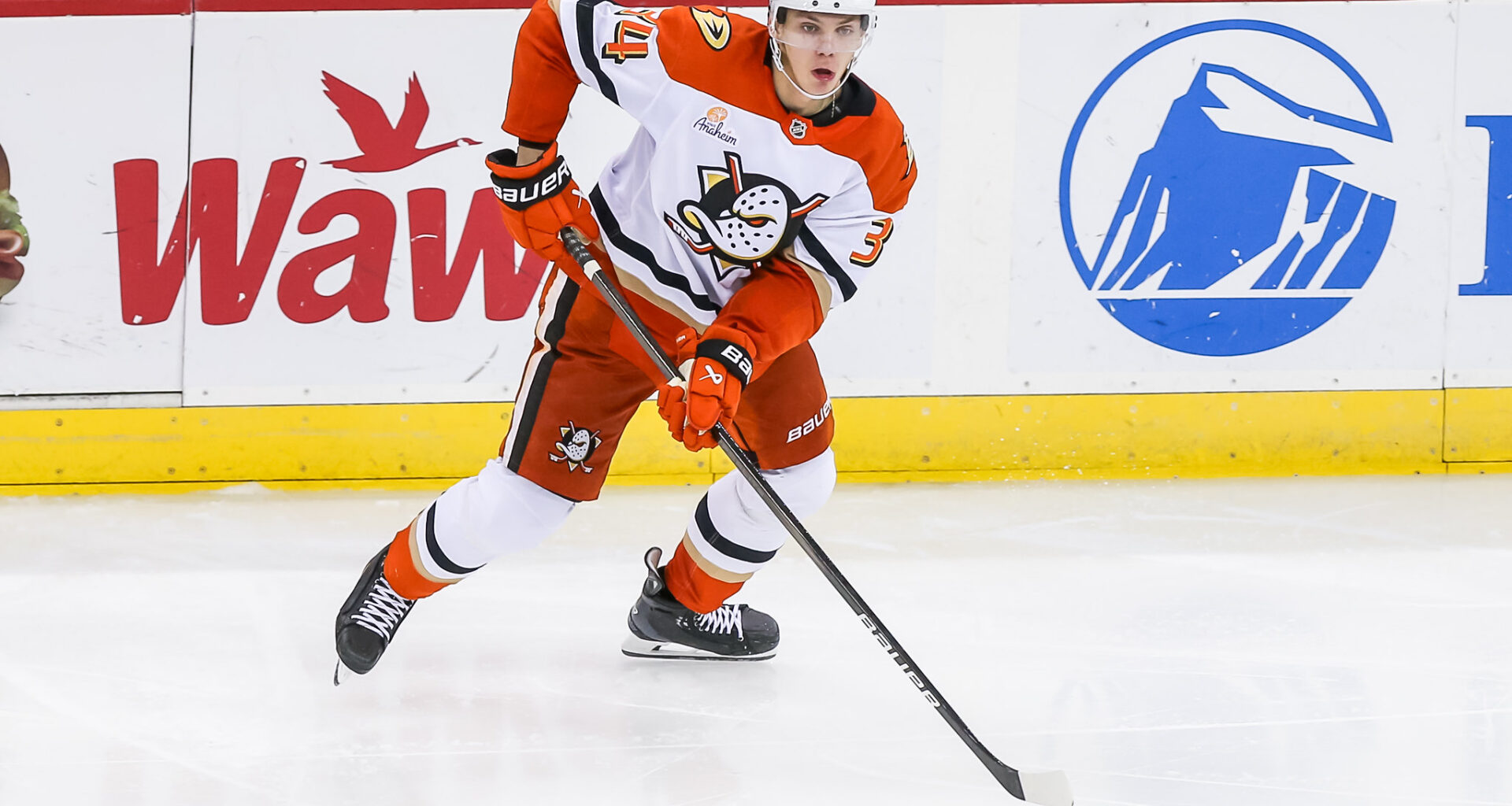 Pavel Mintyukov Anaheim Ducks