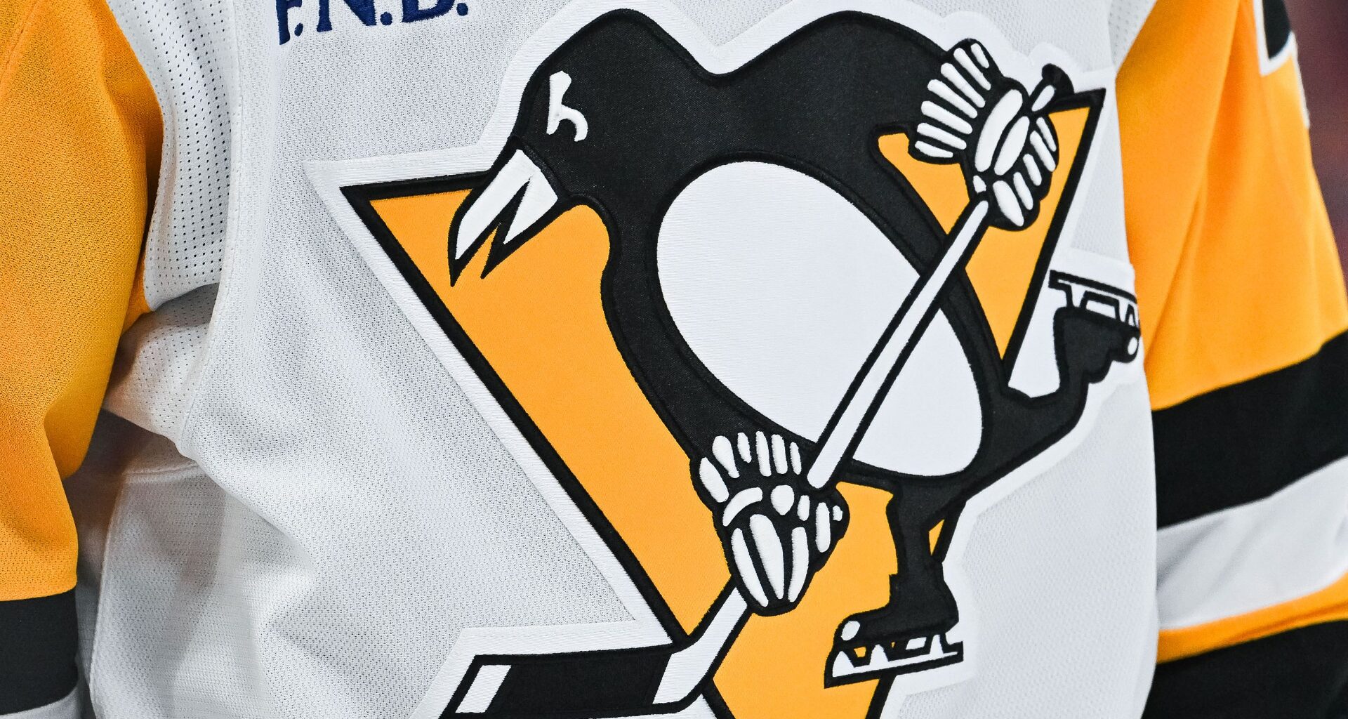 Penguins' Tristan Borz Discusses Getting Called Up For NHL Debut