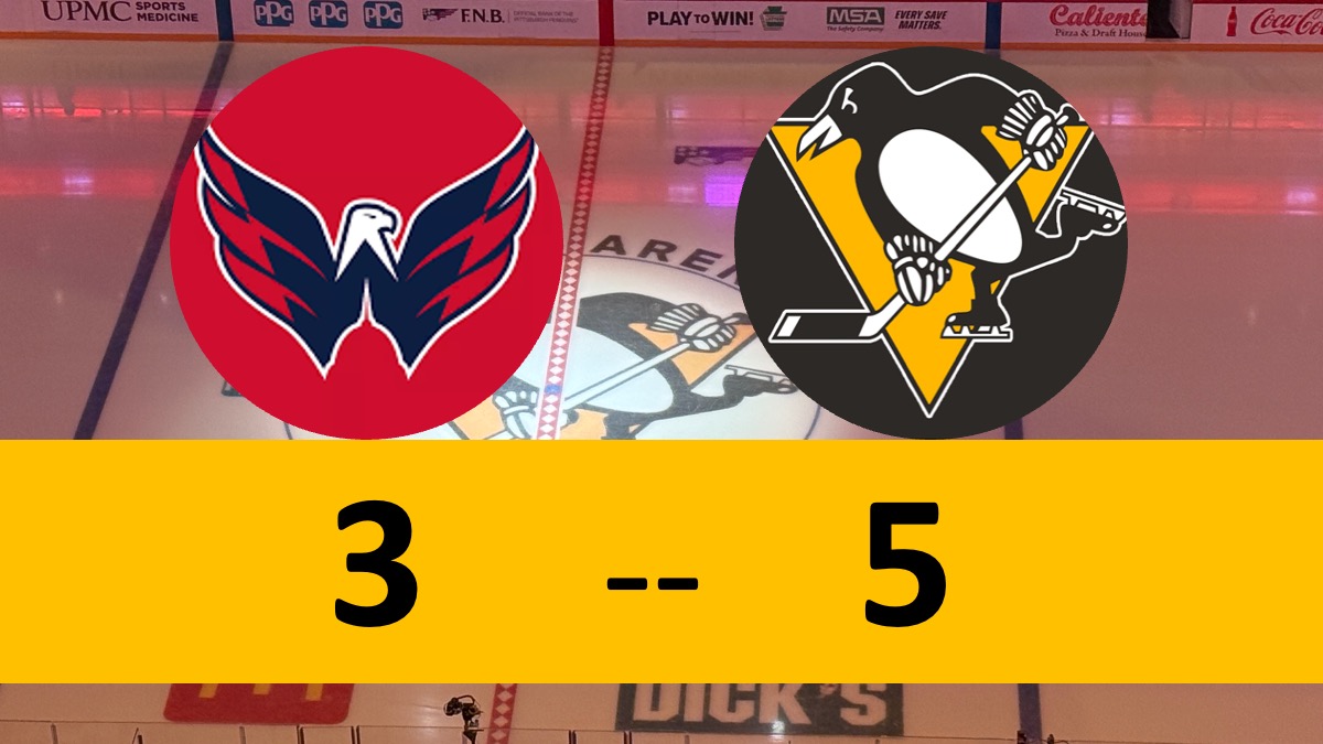 Penguins Roller Coaster Ride Ends in Victory