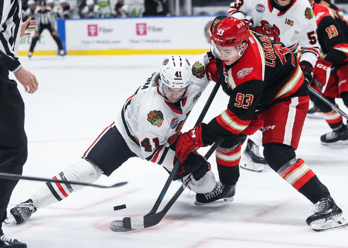 amadeus lombardi, Griffins