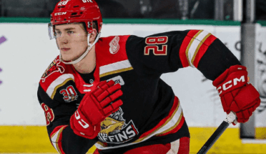 michael Brandsegg nygard