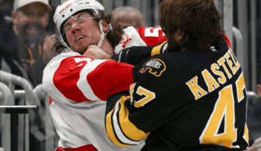 moritz Seider, red wings