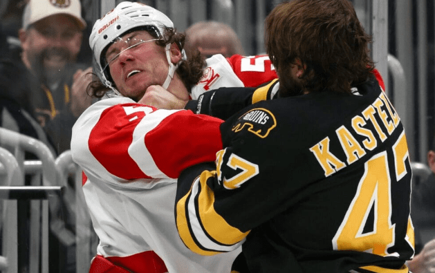 moritz Seider, red wings