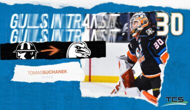 ANAHEIM DUCKS RECALL VILLE HUSSO FROM SAN DIEGO