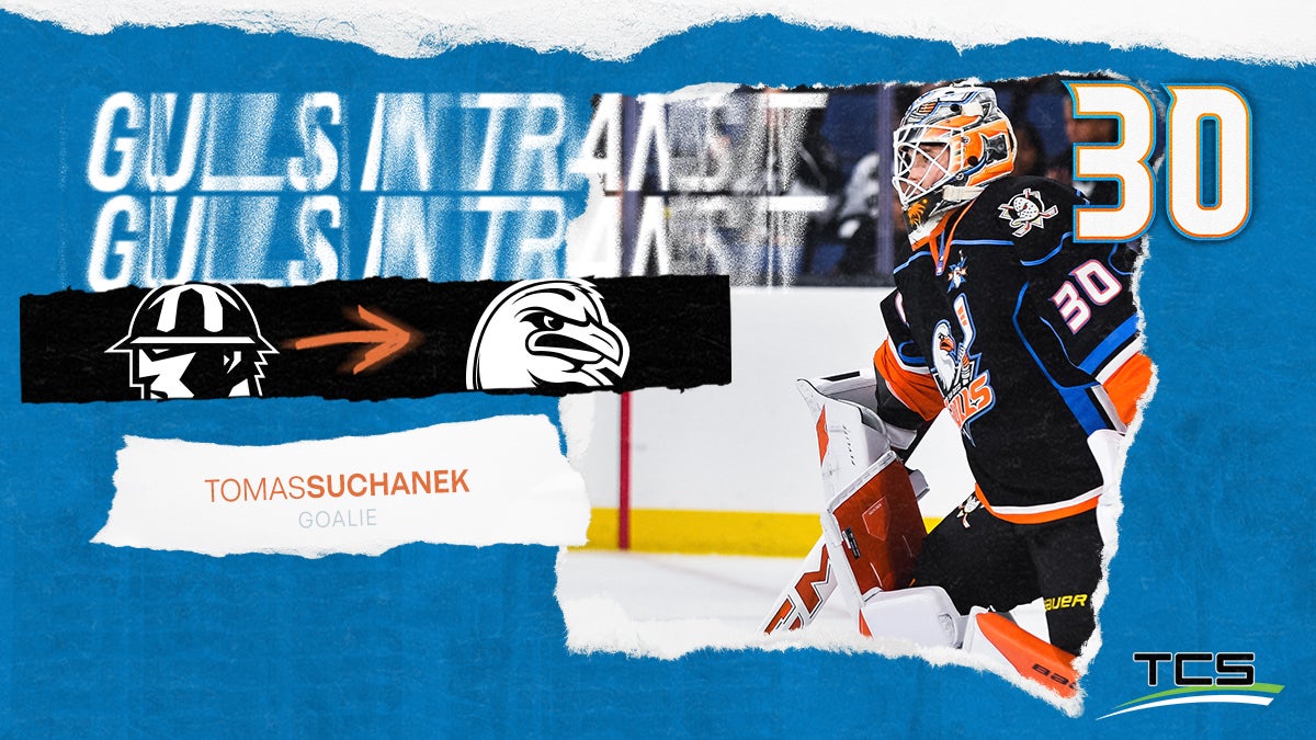 ANAHEIM DUCKS RECALL VILLE HUSSO FROM SAN DIEGO