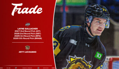 Storm complete trade with the Bulldogs