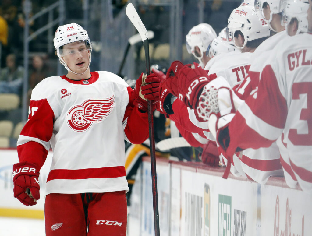 Detroit Red Wings Recall Nate Danielson