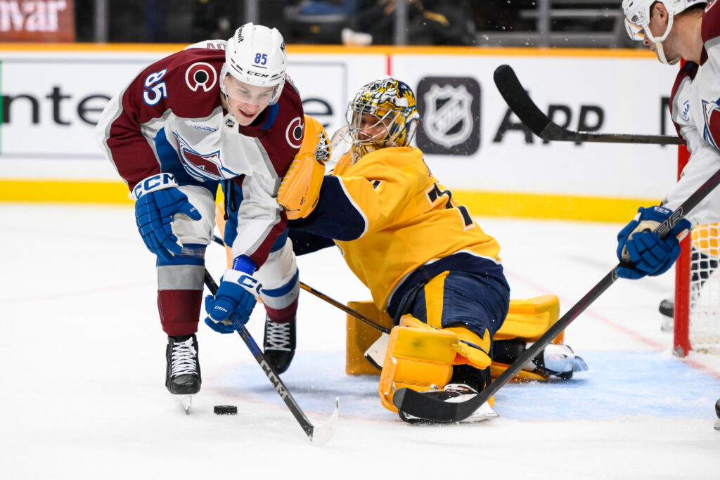 Colorado Avalanche Activate, Reassign Nikita Prishchepov