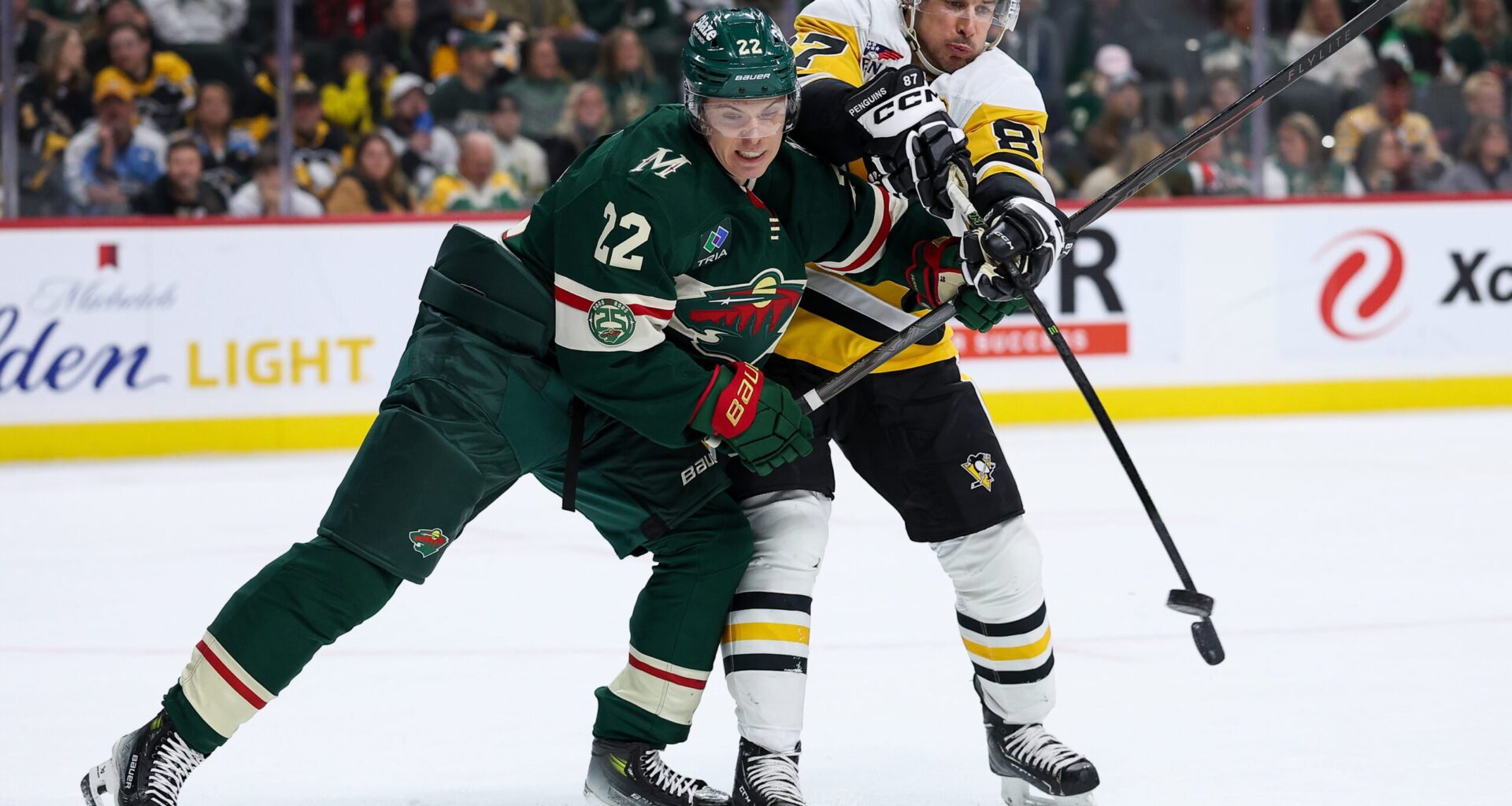 On a Friday Evening, the Minnesota Wild vs Pittsburgh Penguins